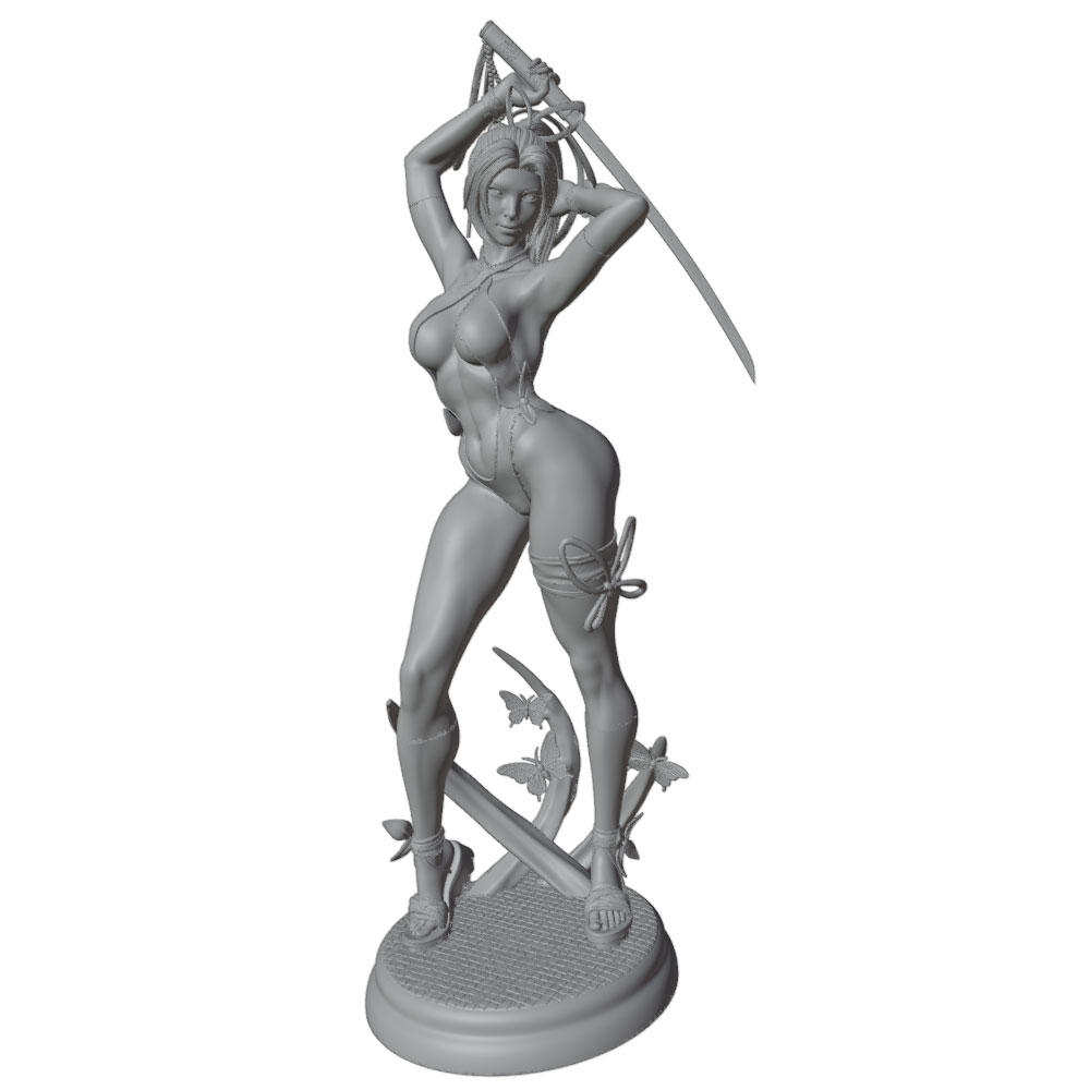 1/24 Female 	Warrior Resin Mod - 3D Printing Article recension och pris
