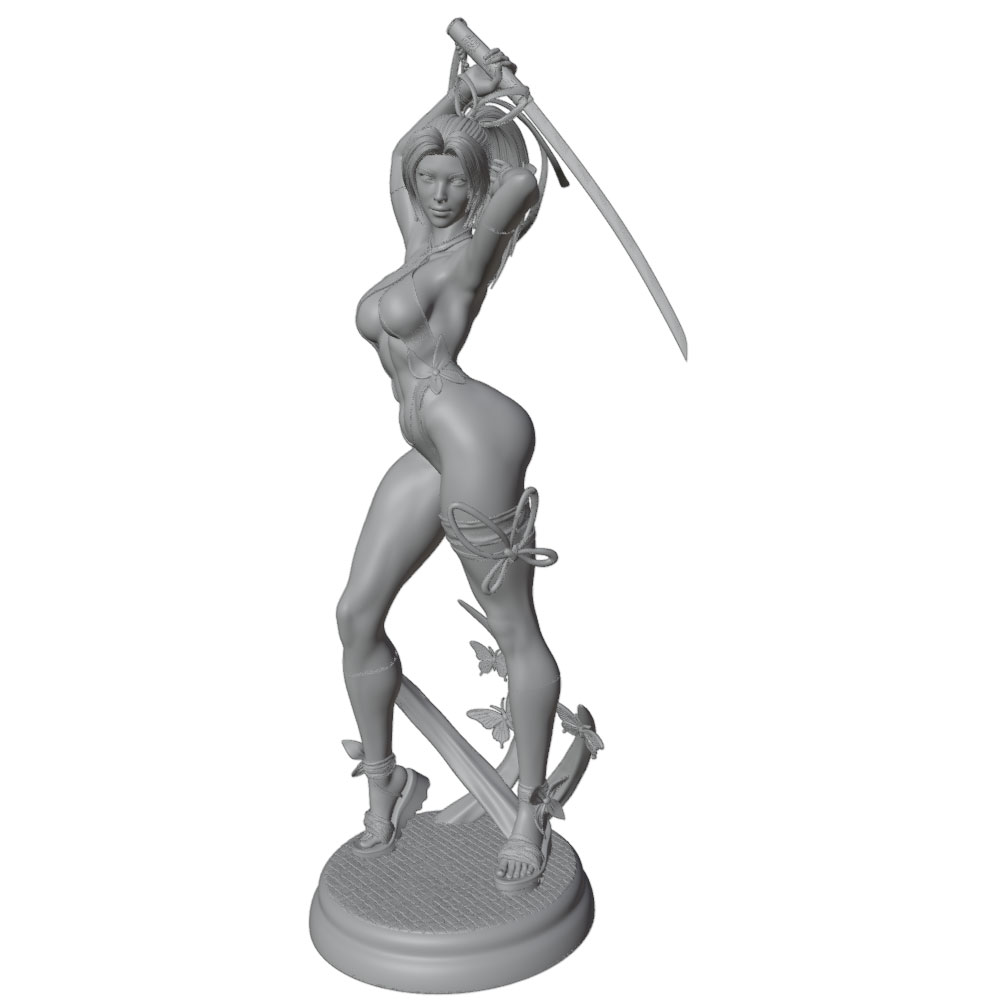 1/24 Female 	Warrior Resin Mod - 3D Printing Article recension och pris