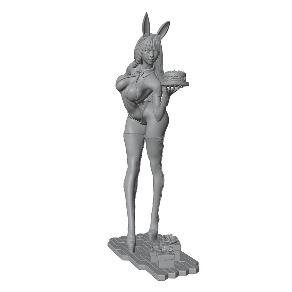 1/24/12/6 Holiday Party Theme  - 3D Printing Article recension och pris